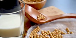 Will Soy or Soy products cause breast cancer