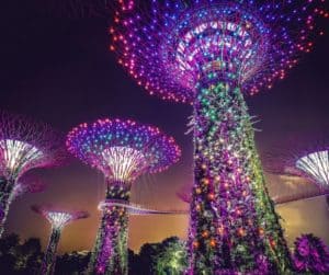 Gardens by the Bay