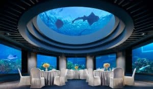 aquarium room