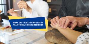 What are the key principles of Traditional Chinese medicine