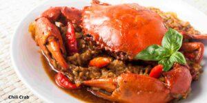 10 Popular Singaporean Dishes you must try