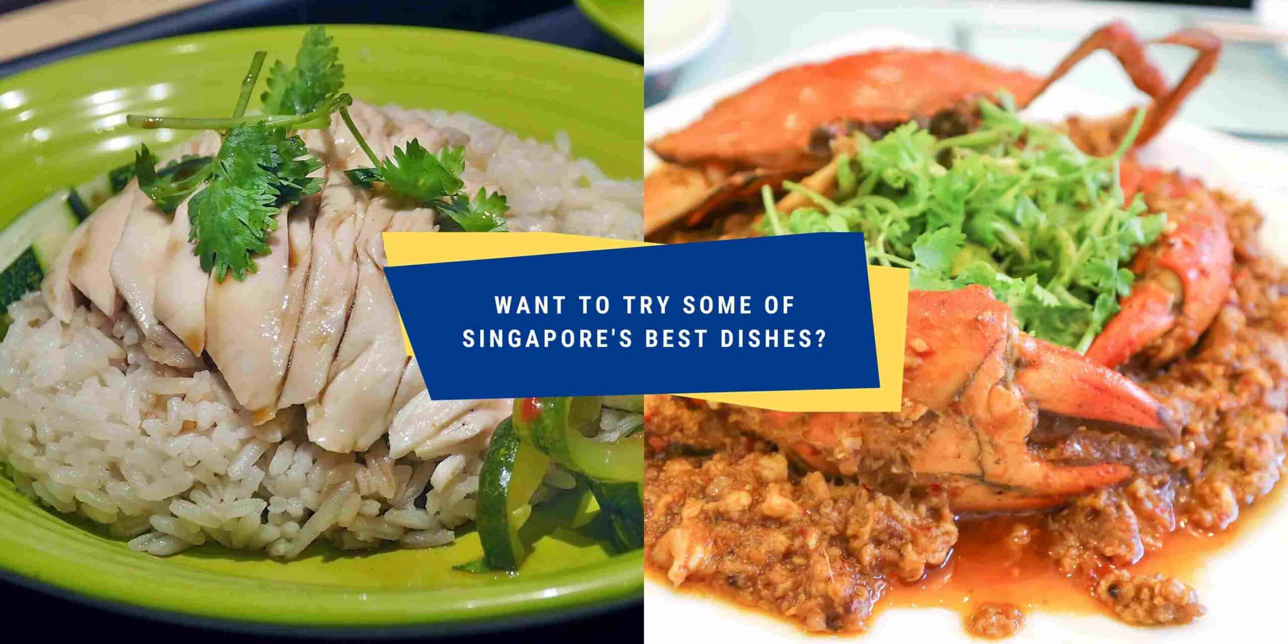 10 Popular Singaporean DIshes you must try Onehealthsg
