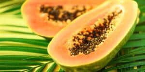 papaya