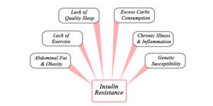 Insulin Resistance